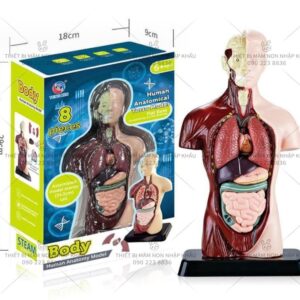 Giáo cụ trợ giảng STEAM