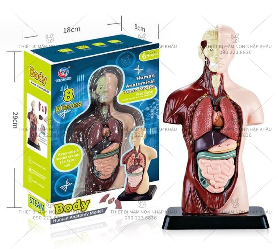 Giáo cụ trợ giảng STEAM